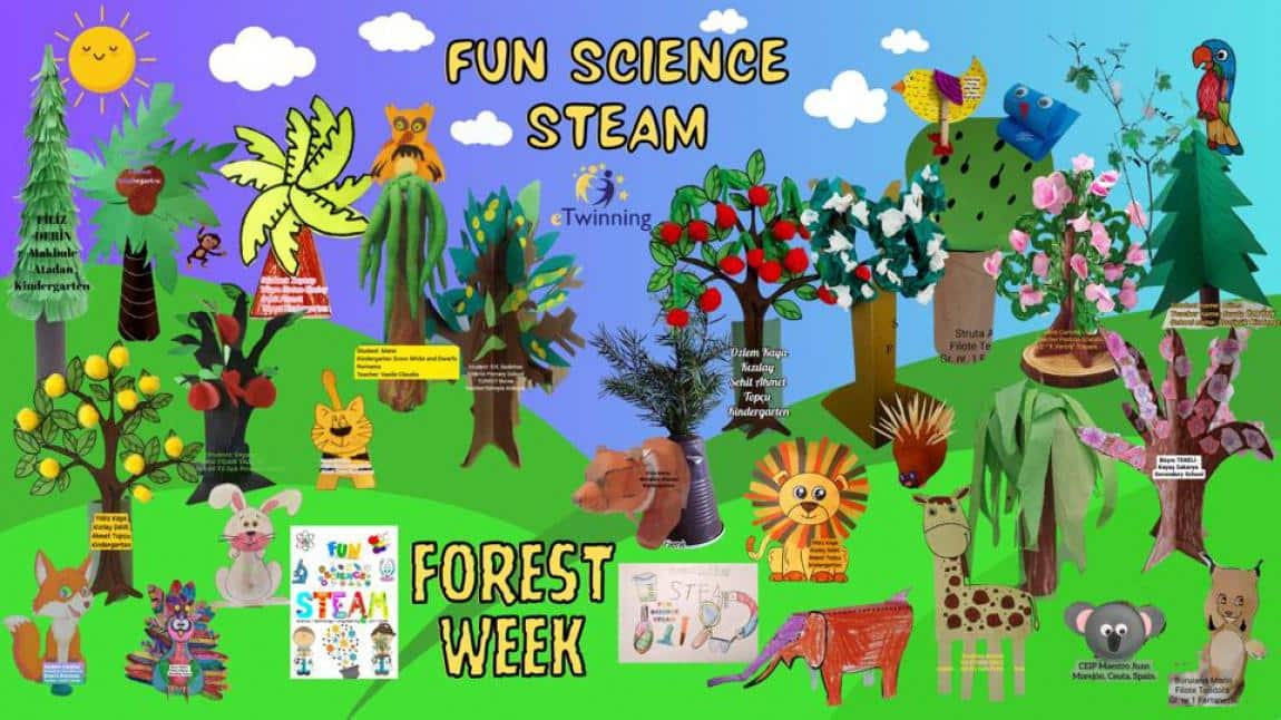 Fun Science STEAM E-Twinning Projemizde Orman Haftası'nı Kutladık